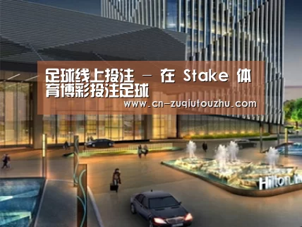 案例展示二(图1)
