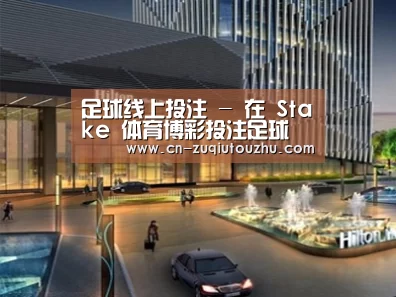 案例展示二